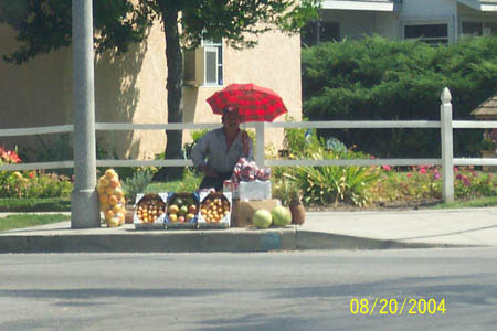 Man selling fruits under the sun