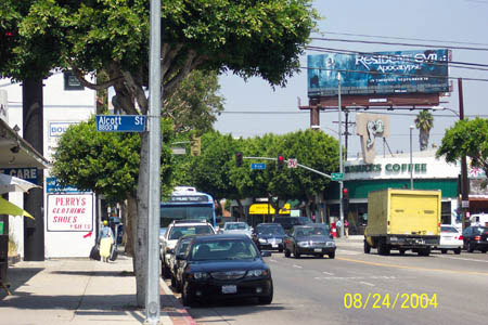 Alcott+Robertson+Pico